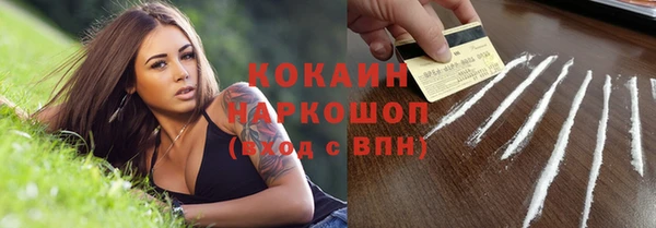 стафф Михайловск