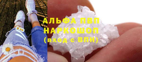 стафф Михайловск