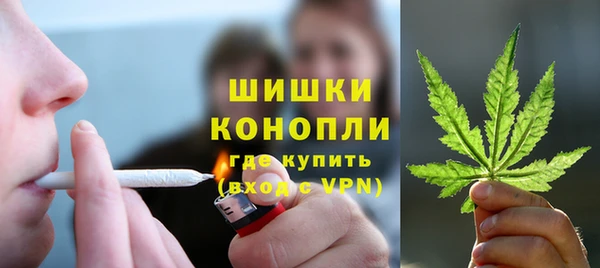 стафф Михайловск