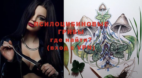 ECSTASY Михайловка