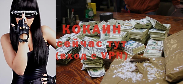 стафф Михайловск