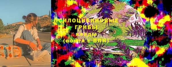 стафф Михайловск