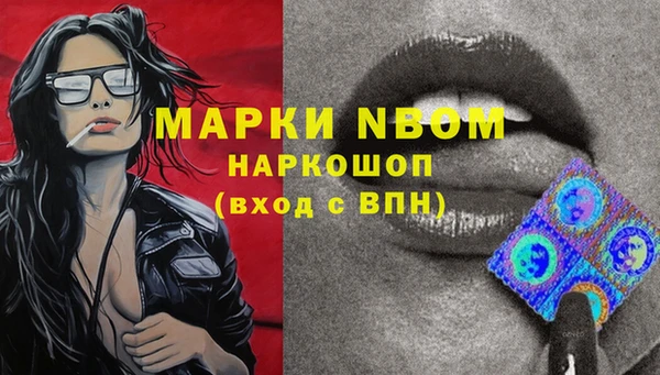 стафф Михайловск